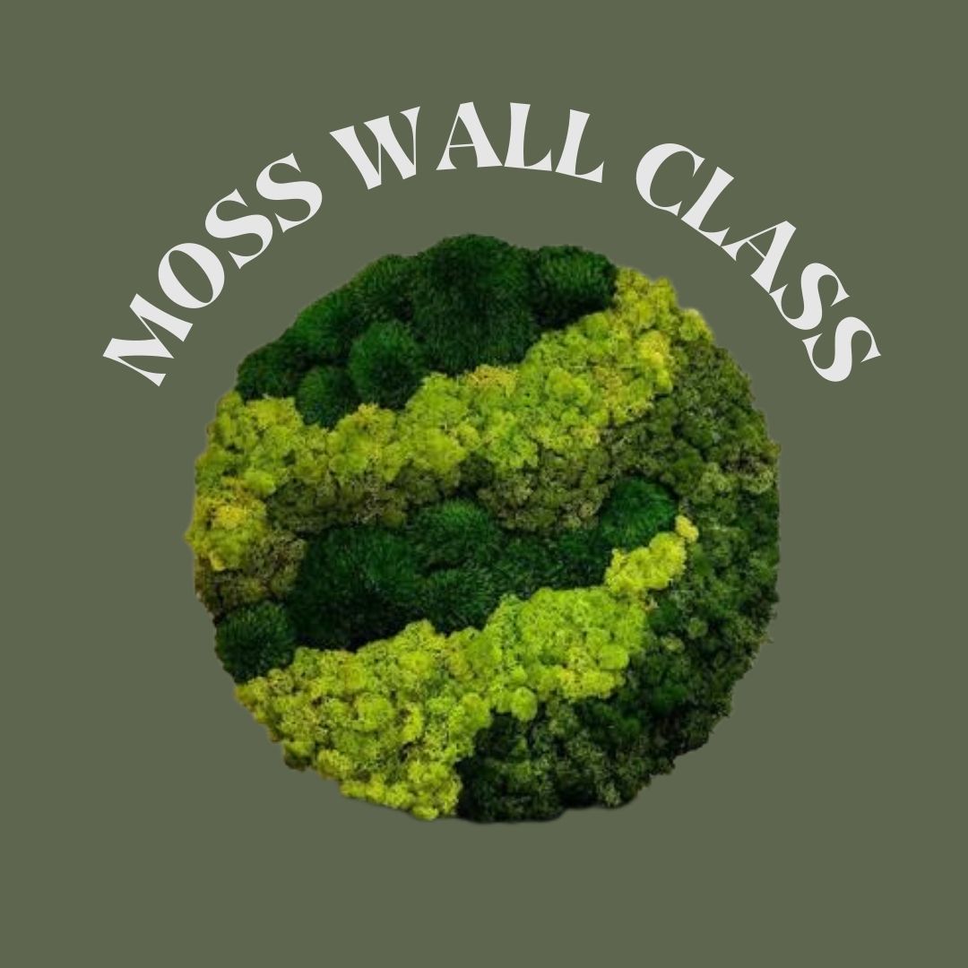 11/09  Moss Wall Class