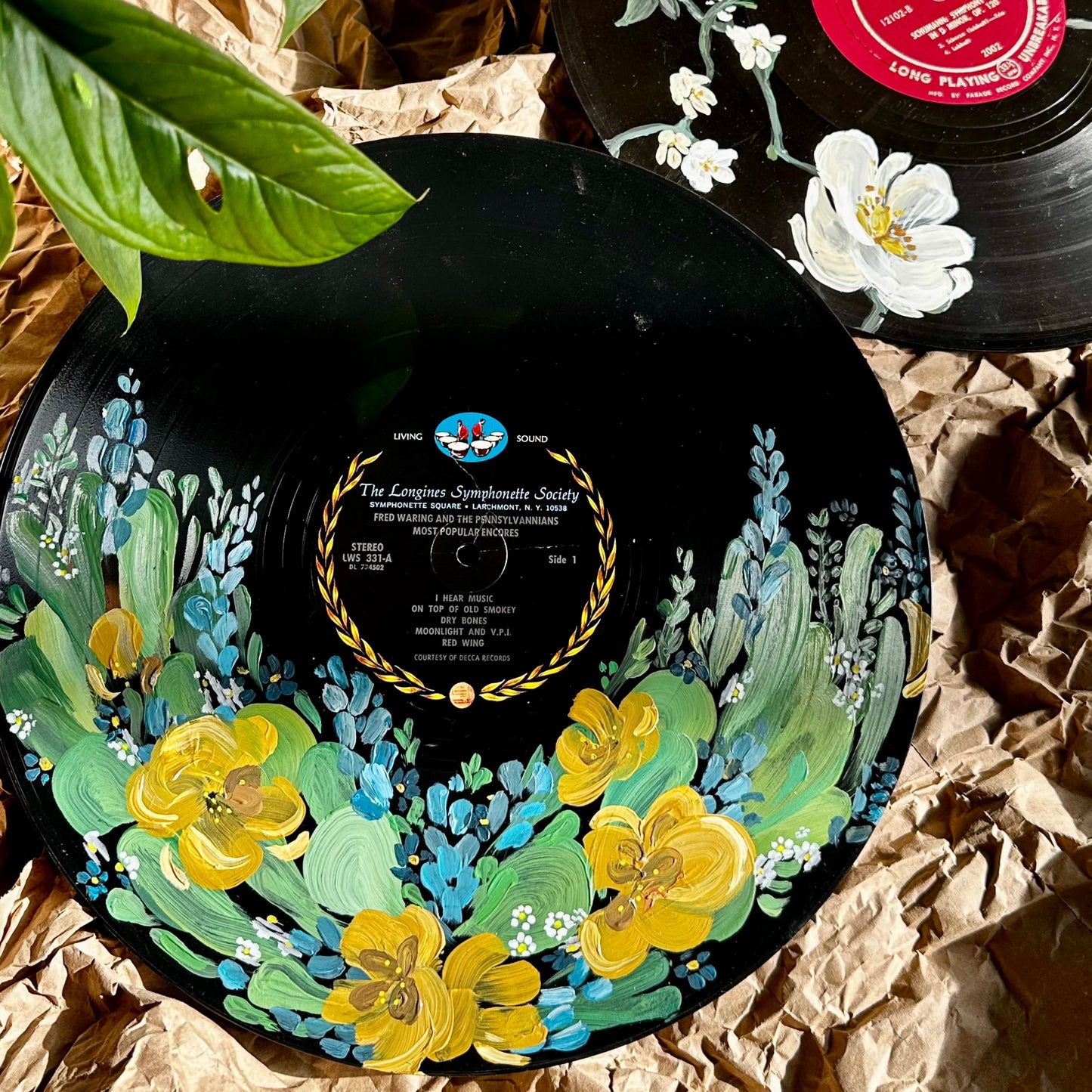 Hand Painted Vinyl Records