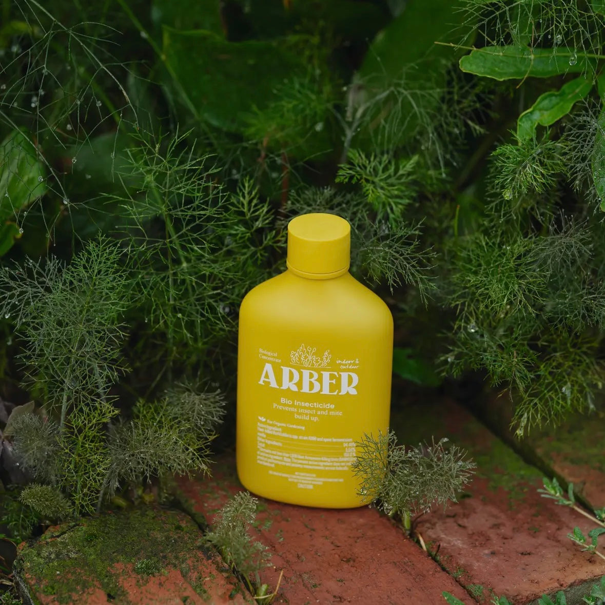 Arber Organic Bio Insecticide