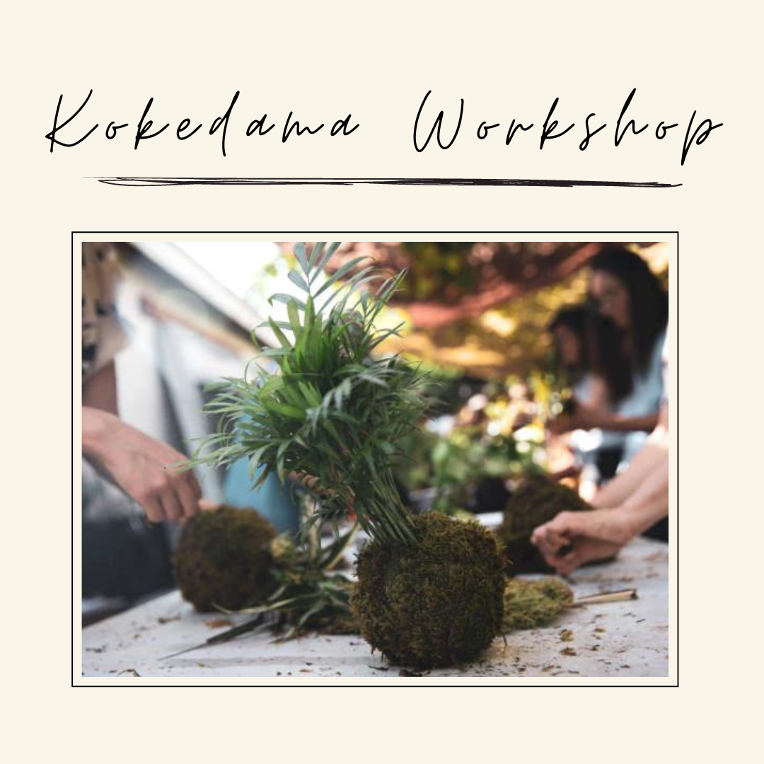 4/18 Kokedama Workshop
